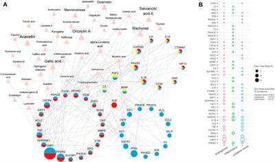 Exploration of the Specific Pathology of HXMM Tablet Against Retinal Injury Based on Drug Attack Model to Network Robustness